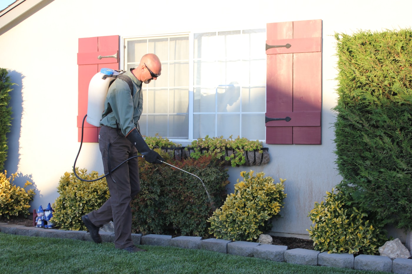 Technician inspecting and treating a home exterior