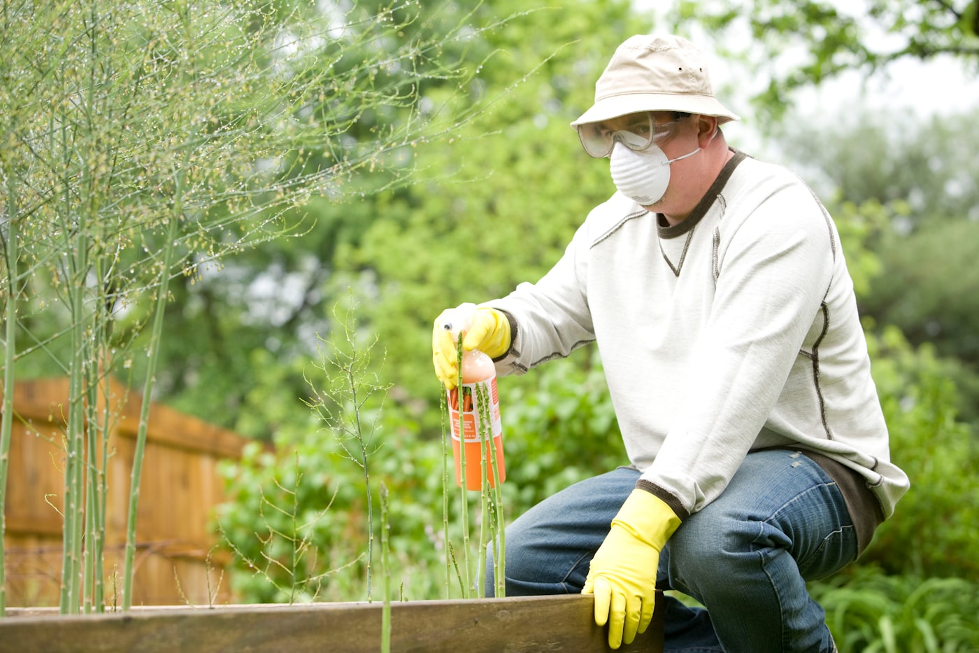 Technician treating a yard