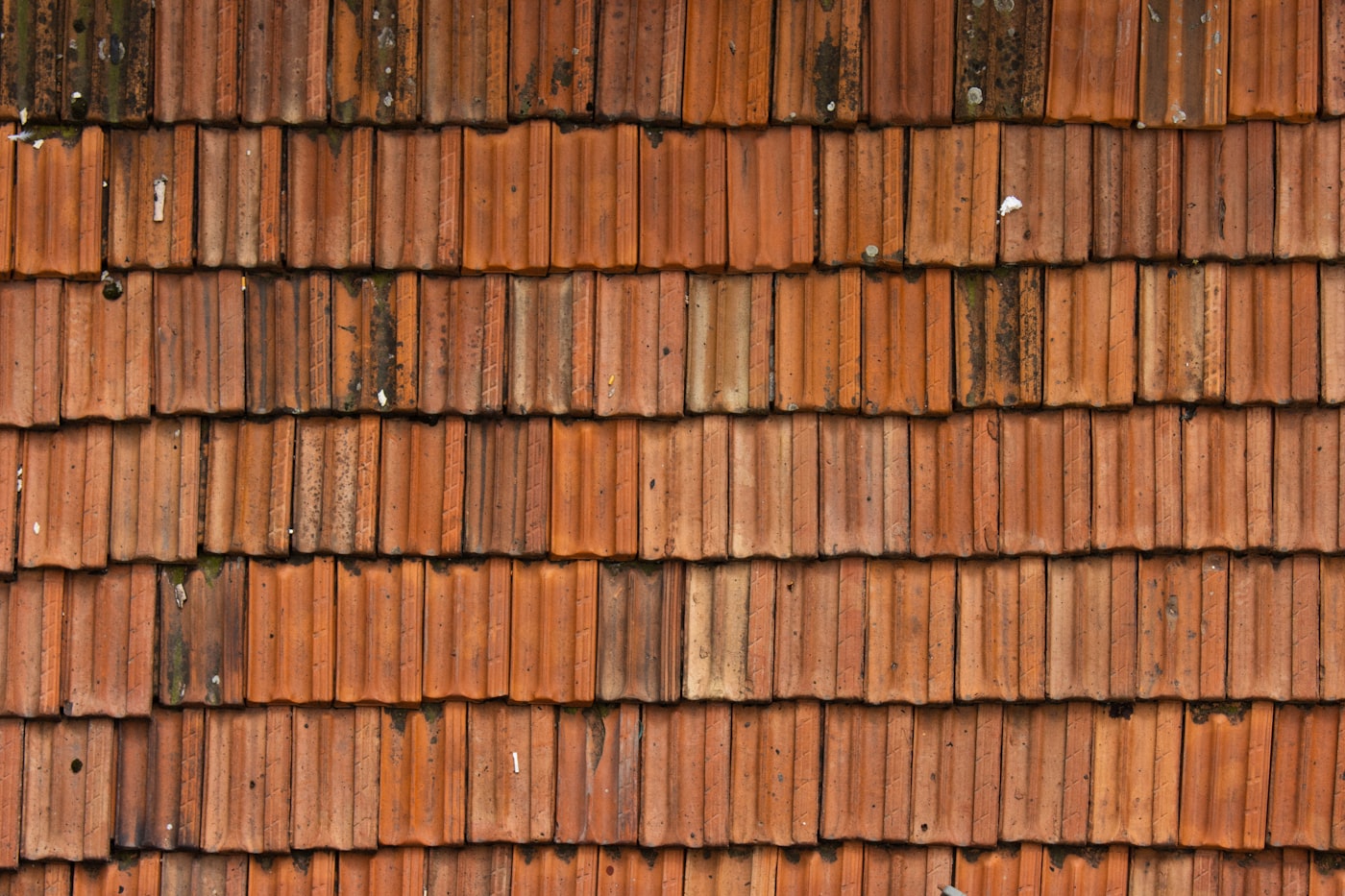 Worn, aging roof before replacement